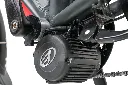 bewo.webp