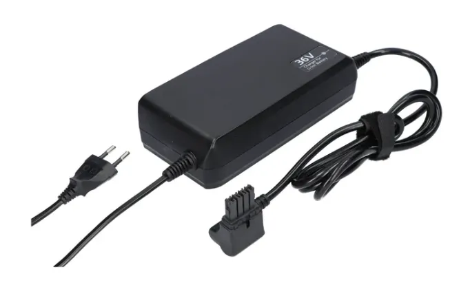Originele Flyer/Gazelle Panasonic Accu snellader 42V 4A Batterijlader 42V (36V-37V batterijen)