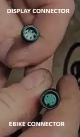 display connector.webp