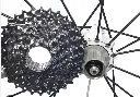 freewheel.webp