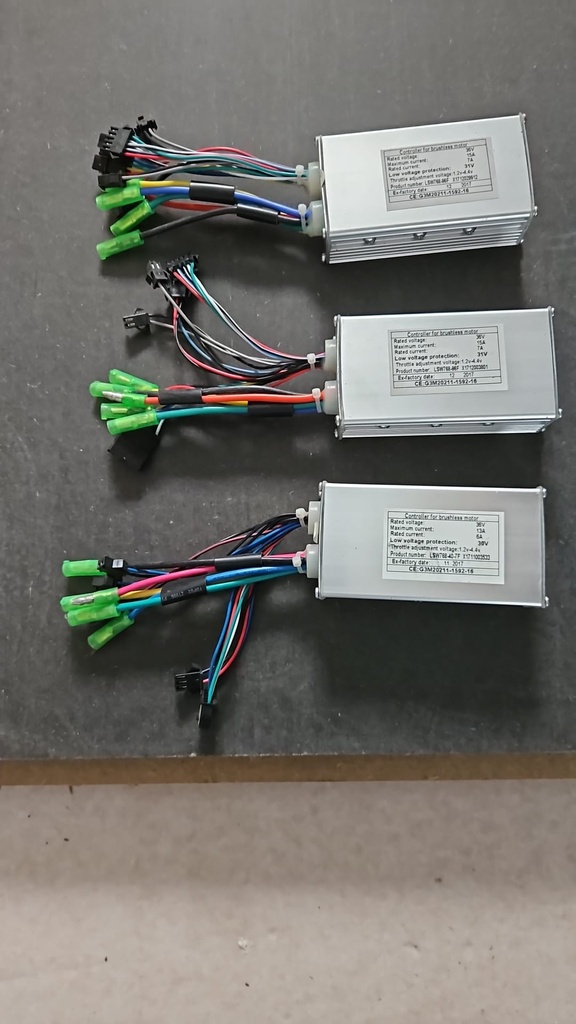 [EEMSMINVERVAXDRIVEV1] Ebike Controller